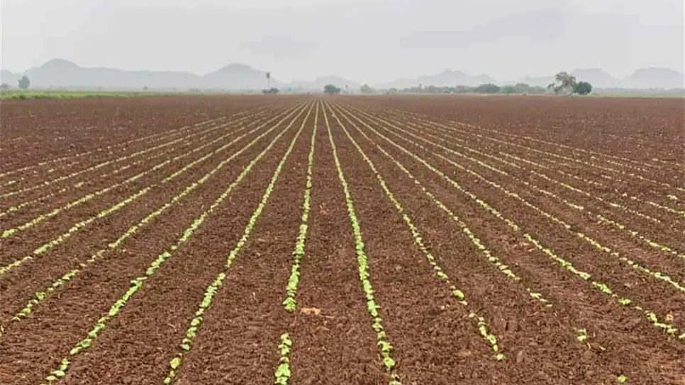 FOTO: Archivo Luz Noticias.