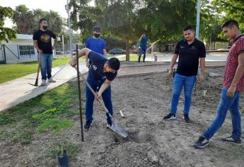 Arboriza el IMJU parque de la colonia Nuevo Siglo, en Los Mochis