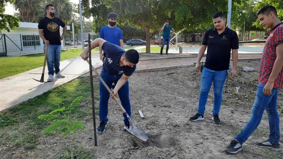 Arboriza el IMJU parque de la colonia Nuevo Siglo, en Los Mochis