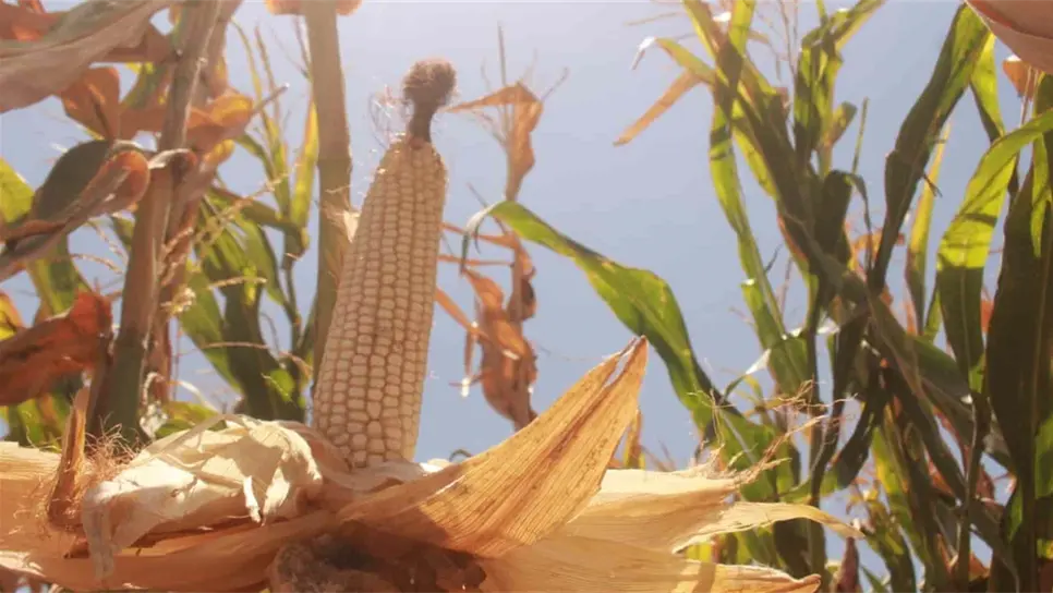 FOTO: Luz Noticias | Archivo.