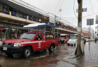 Incrementa 80 % el servicio de pasaje de aurigas los fines de semana en Mazatlán