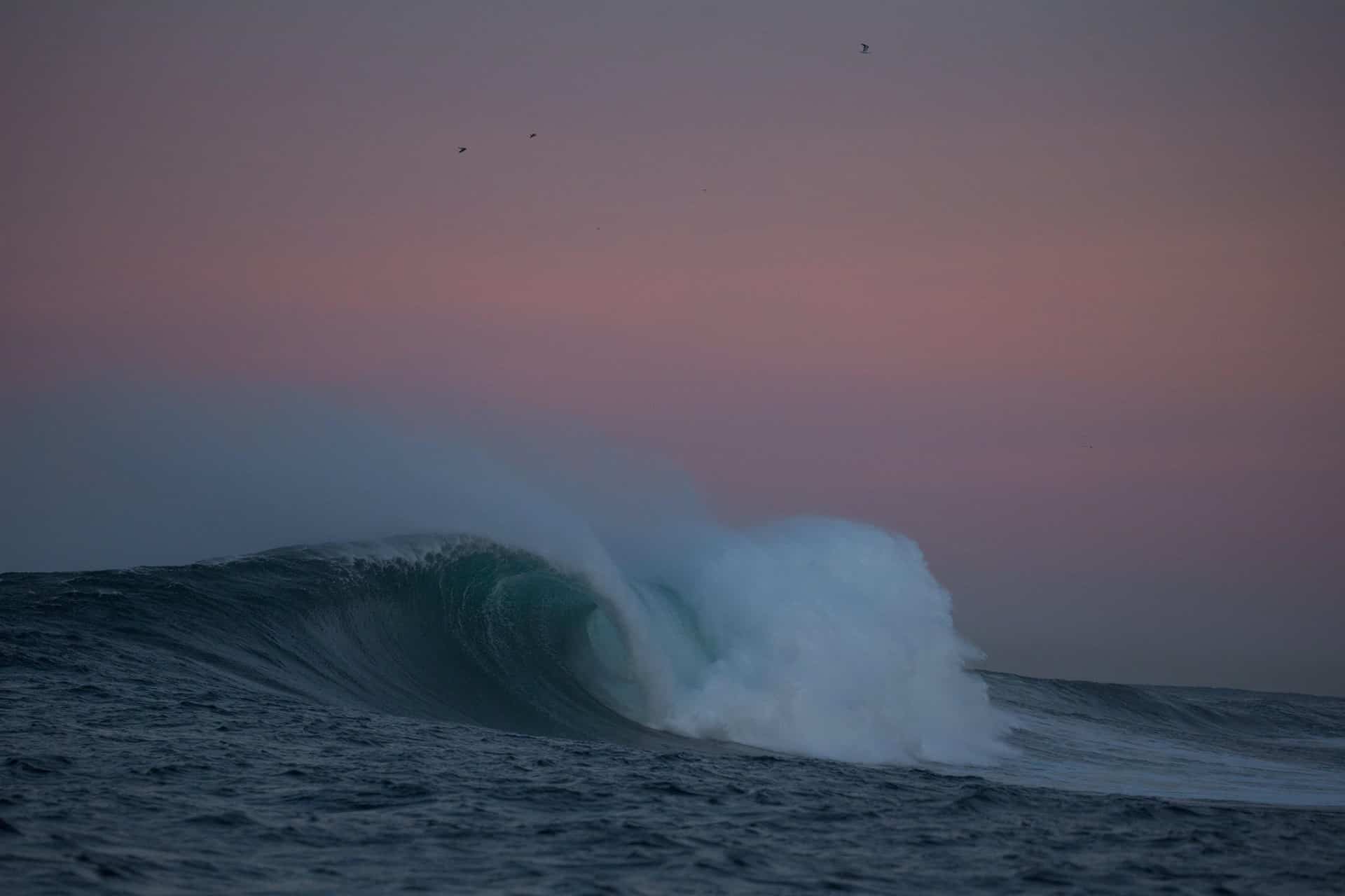 FOTO: EPA/NIC BOTHMA/Archivo