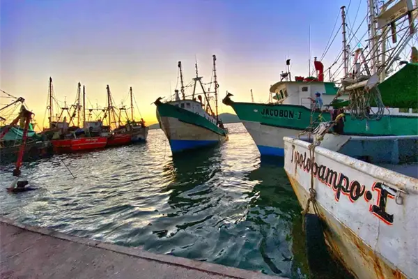 Desde Topolobampo saldrá flota camaronera de Sinaloa Desde Topolobampo saldrá flota camaronera de Sinaloa