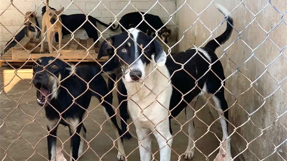 FOTO: Luz Noticias | Archivo.