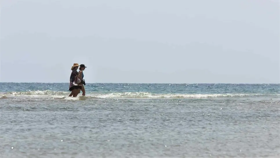 Calentamiento y la acidificación de los océanos dañan el fitoplancton