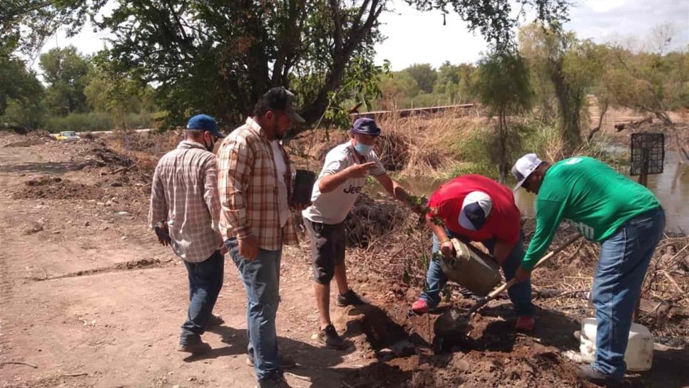 Ciudadanos invitan a rehabilitar, limpiar y reforestar la ribera del río Fuerte en Mochicahui