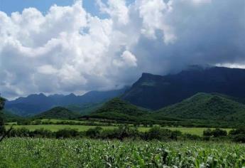 Buscan que Tacuichamona sea área natural protegida