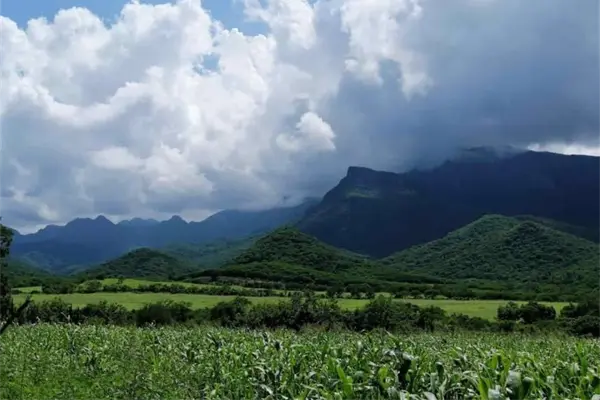Buscan que Tacuichamona sea área natural protegida Buscan que Tacuichamona sea área natural protegida