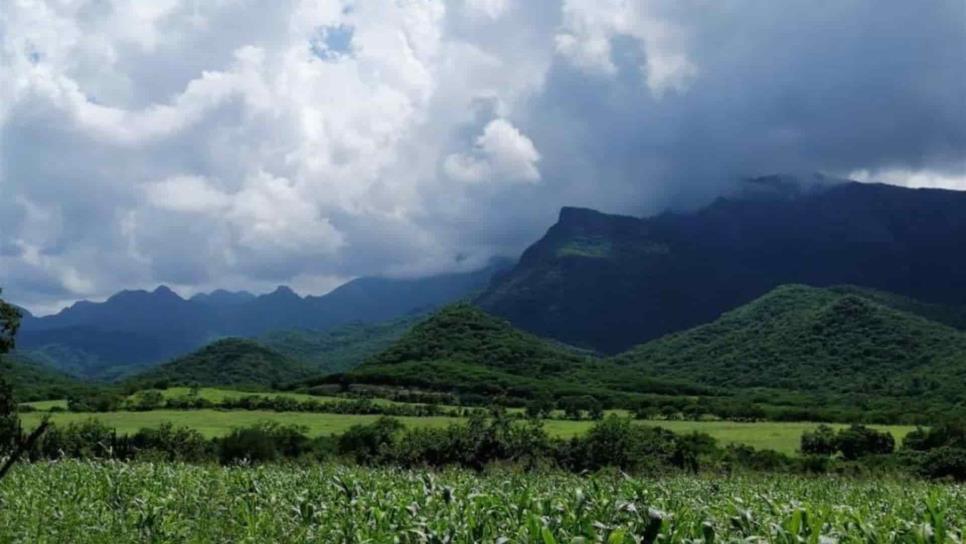 Buscan que Tacuichamona sea área natural protegida