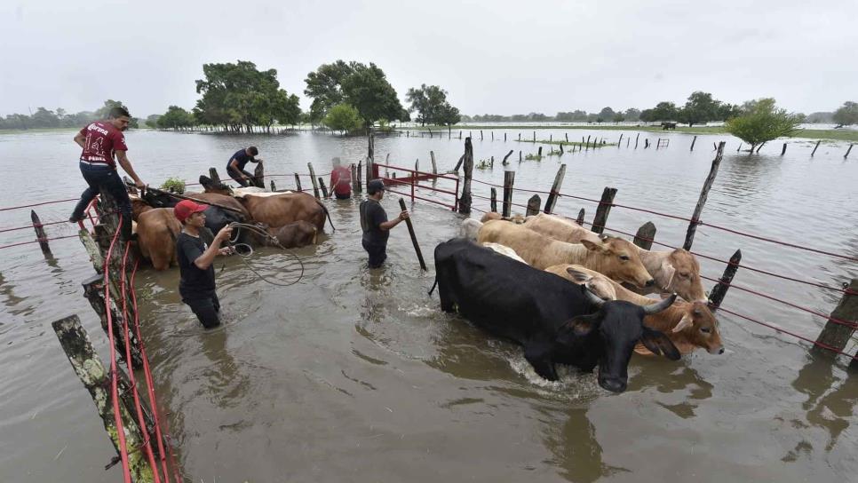 Desalojan a 262 familias por lluvias y desfogue de presa en sureste de México