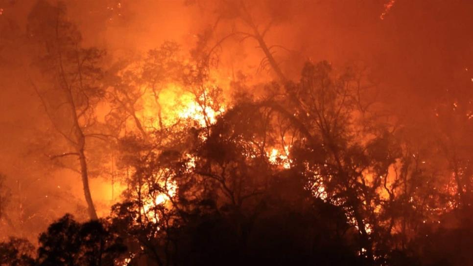 Incendios arrasan la cifra récord de 1,62 millones de hectáreas en California