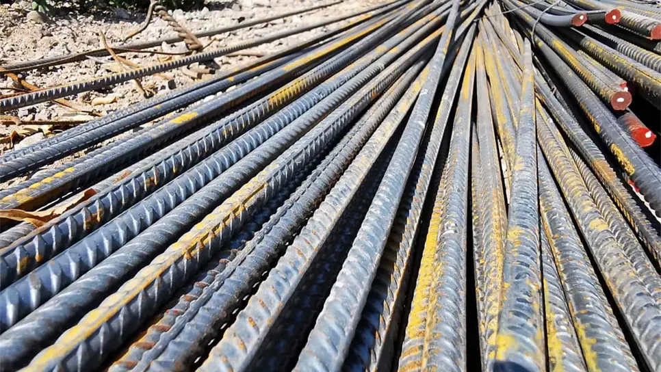 FOTO: Danira Rodríguez.