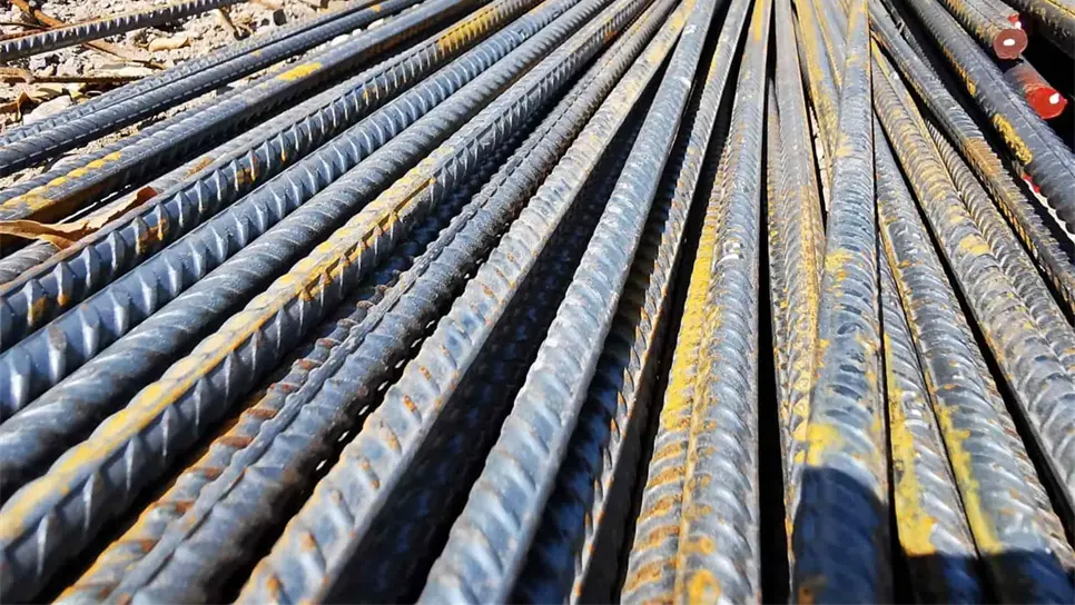 FOTO: Danira Rodríguez.