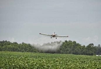 Acusan aplicaciones aéreas de herbicidas en zonas pobladas y cultivos en pie