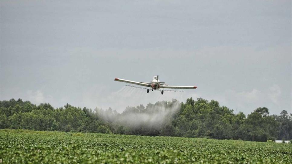 Acusan aplicaciones aéreas de herbicidas en zonas pobladas y cultivos en pie