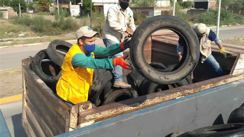 Campaña de descacharrización ha beneficiado a 142 colonias de Los Mochis