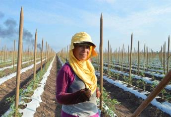 Beatriz, la “corredora” del campo