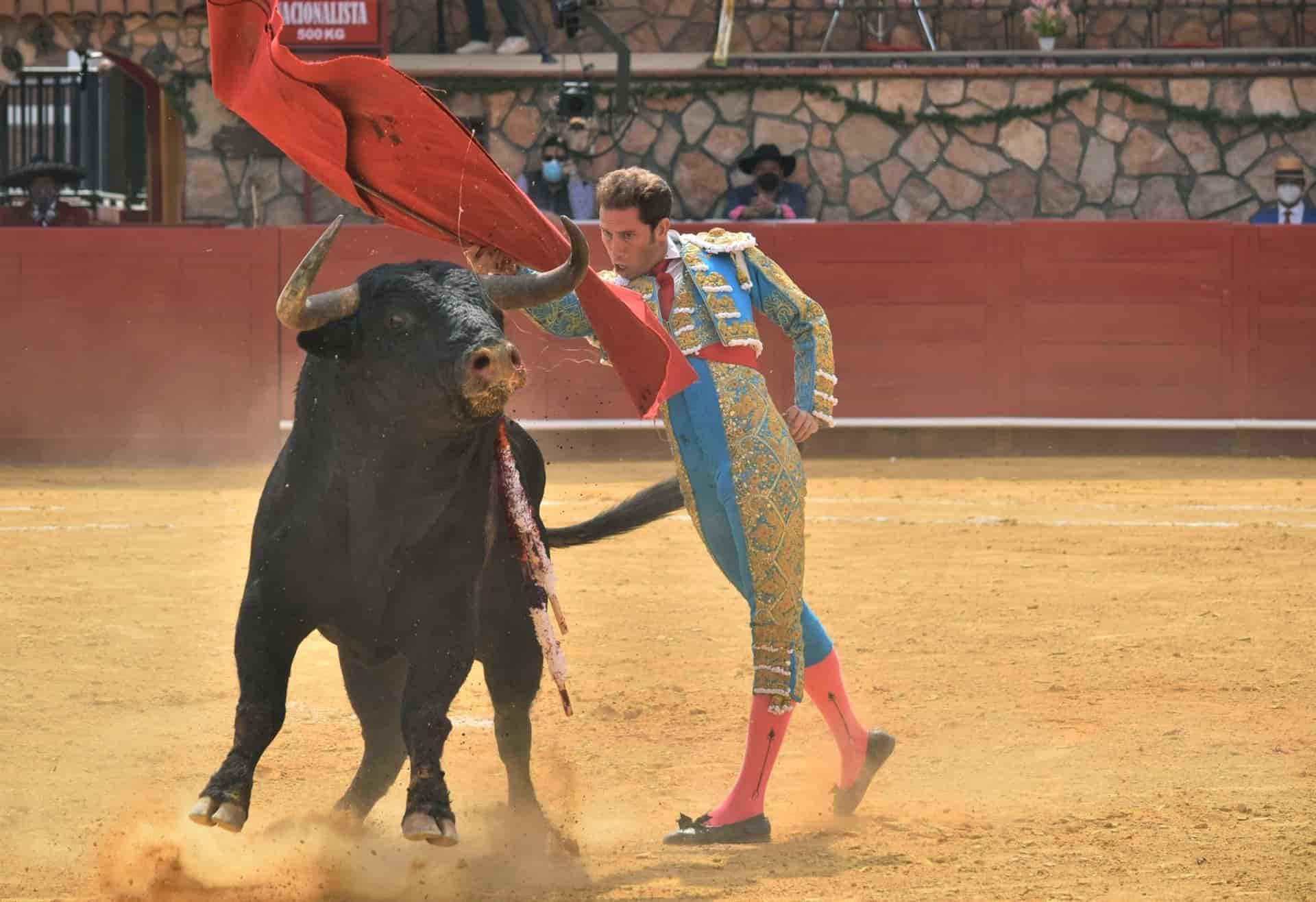 El torero mexicano Arturo Saldívar fue registrado este domingo al lidiar a su primer toro de la tarde. EFE/Oscar Mir Reyes