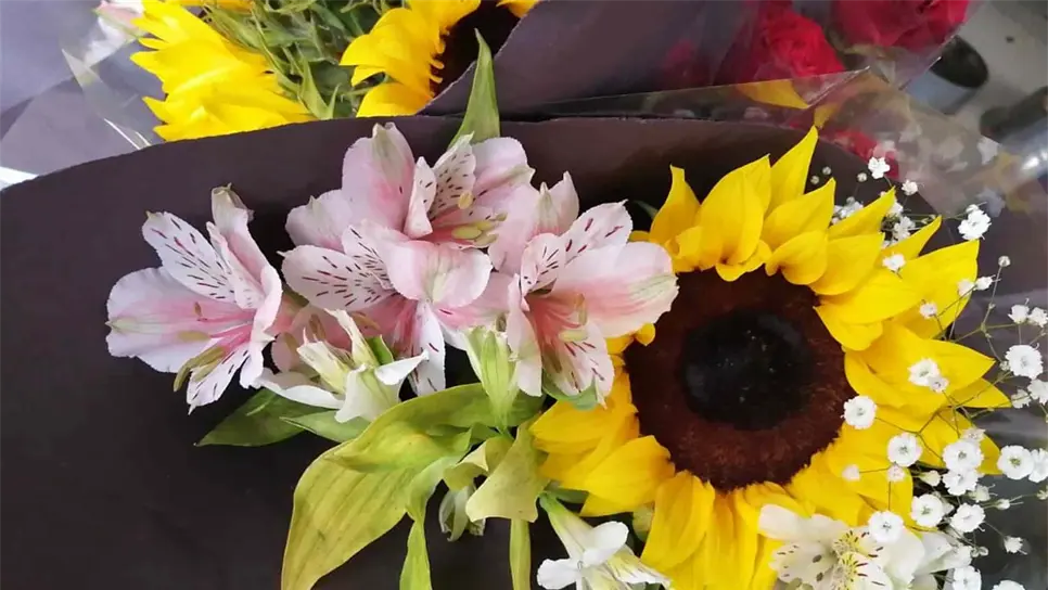 FOTO: Manuel Aceves.