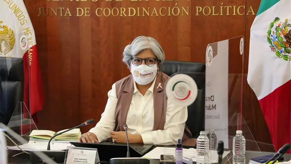 La Secretaria de Economía de México, Graciela Márquez, durante su comparecencia en Ciudad de México (México). EFE/SENADO DE MÉXICO/SOLO USO EDITORIAL