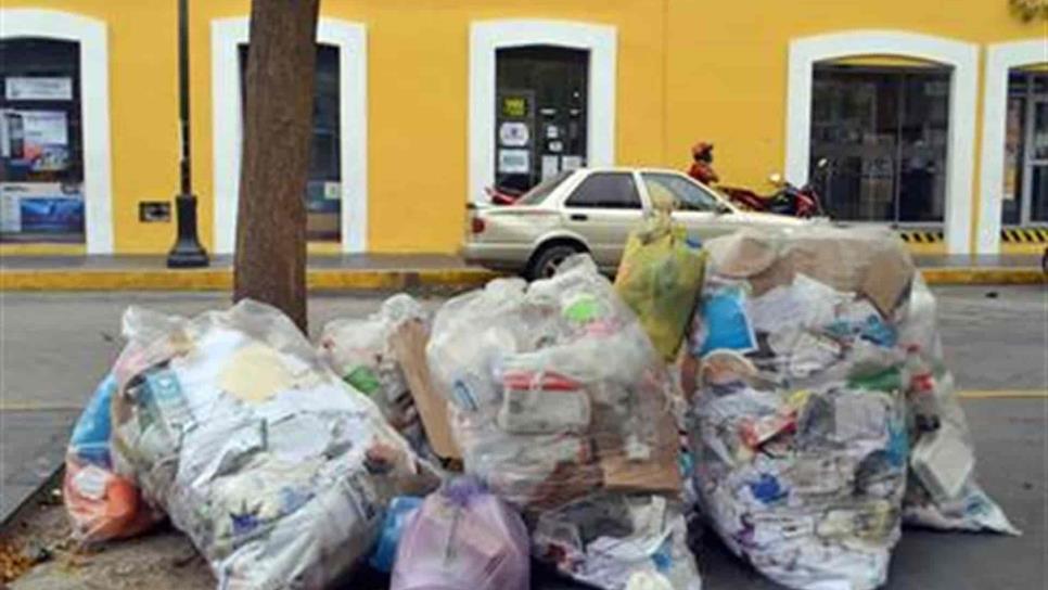 No te preocupes por la basura, podrás seguir utilizando bolsas de plástico en casa