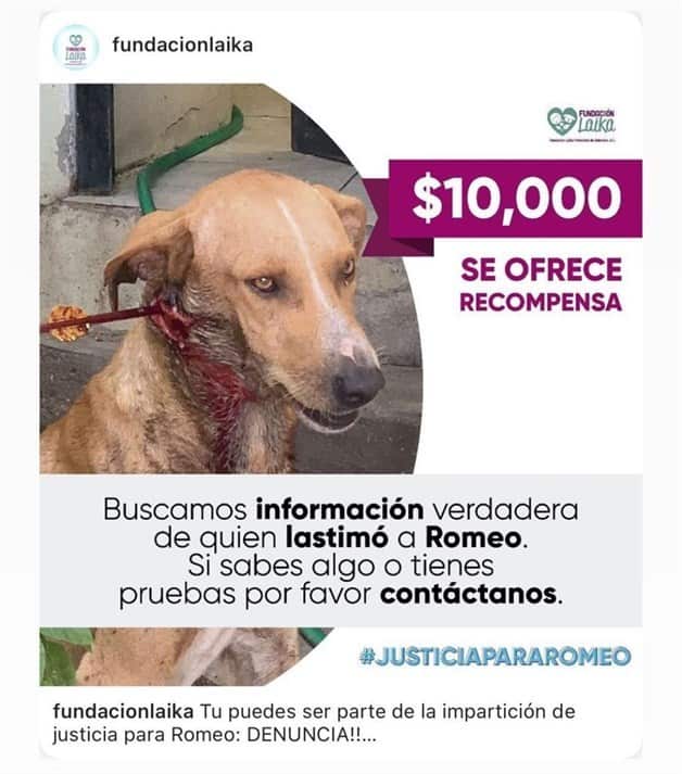 Imagen Placeholder