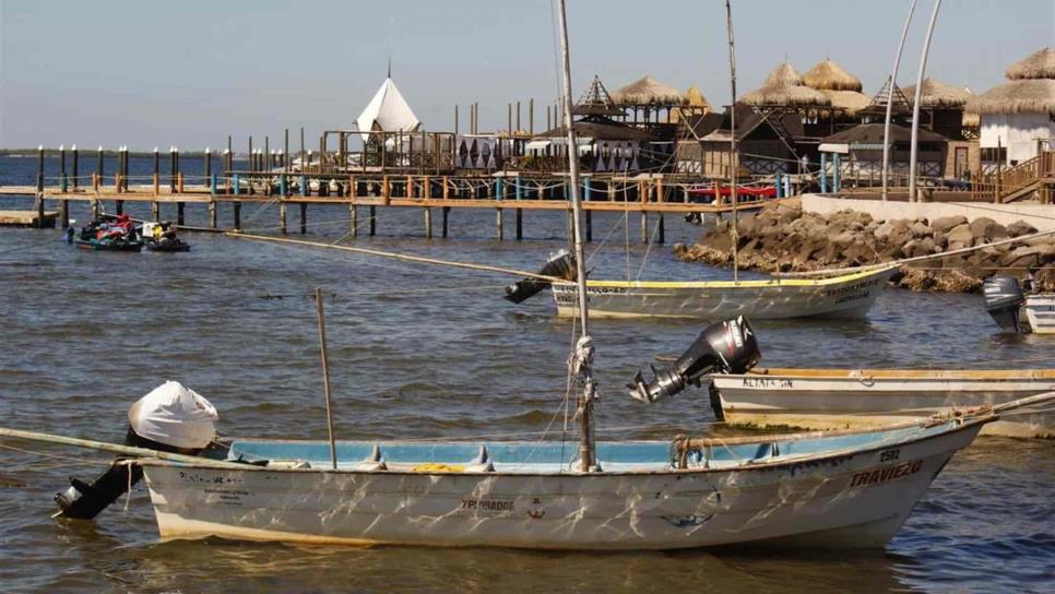 Temporada camaronera 2020 no es redituable: pescadores de Altata