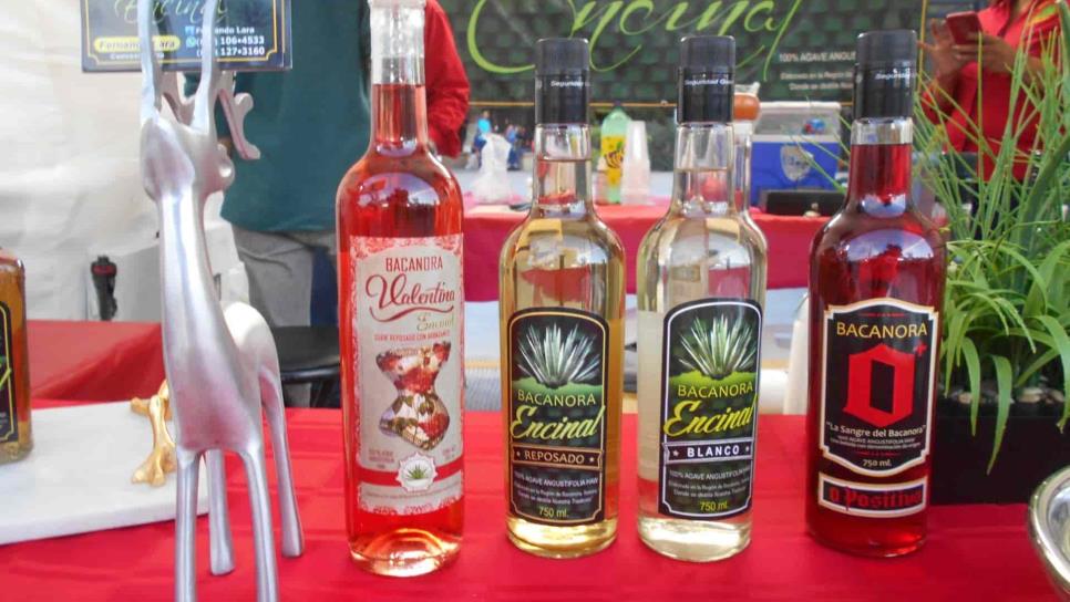 Sotol, bacanora y charanda, destilados mexicanos que buscan sitio en el mundo