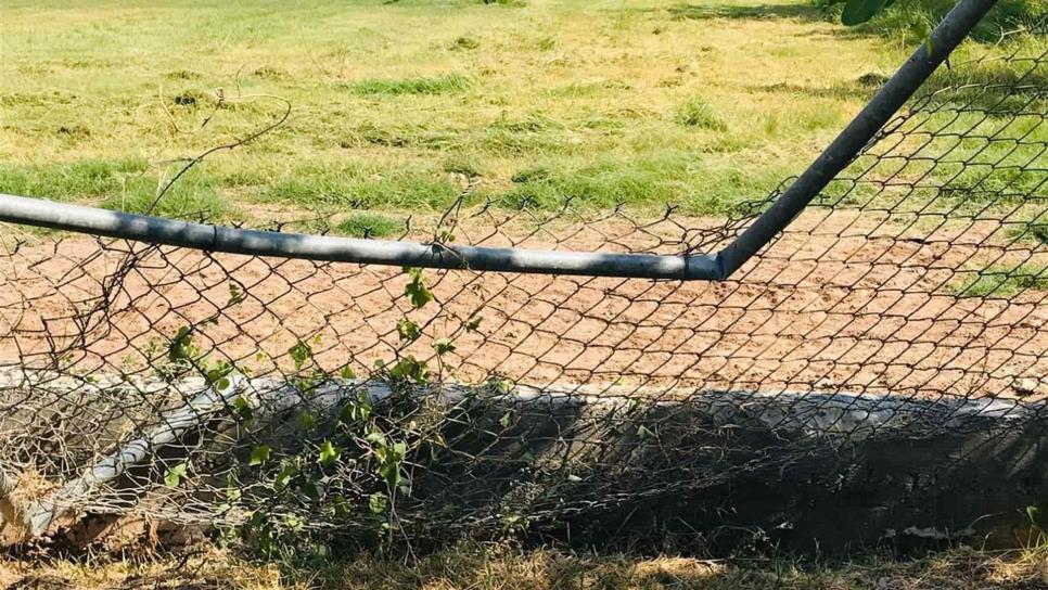 Piden a Servicios Públicos que repare la cerca que derribó del kínder de Viñedos