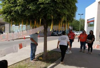 Brota árbol de la Esperanza en la Fiscalía General del Estado