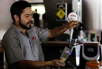 Buscan «legalizar» la cerveza artesanal en Sinaloa