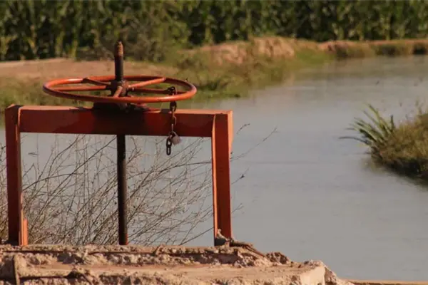 Termina riego agrícola; llaman a respetar agua de consumo humano Termina riego agrícola; llaman a respetar agua de consumo humano