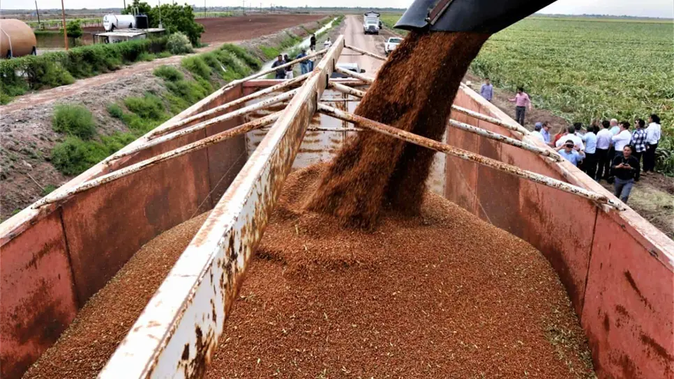 FOTO: Luz Noticias | Archivo.