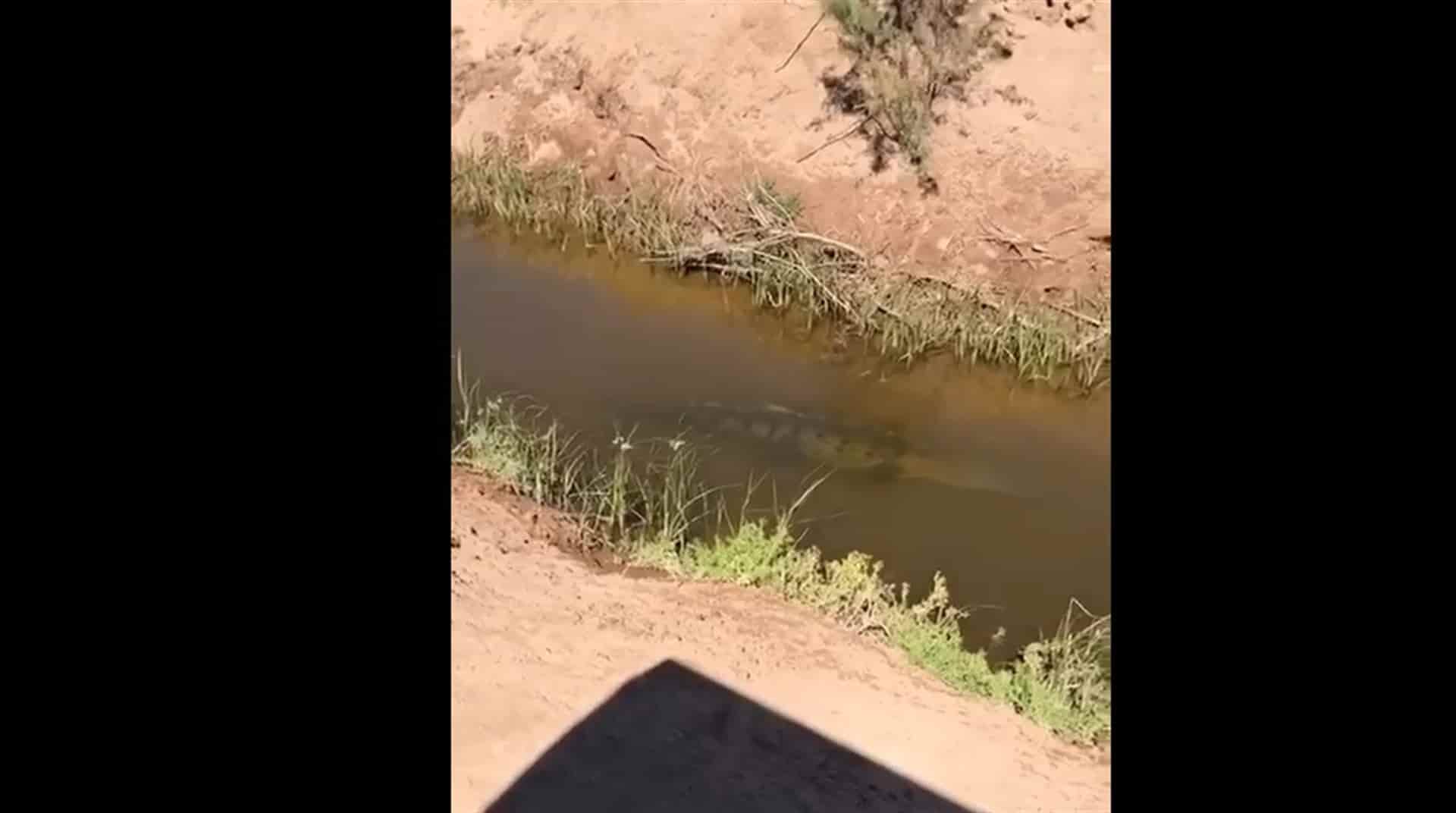 Captura de pantalla.