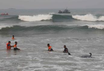 Sri Lanka salva a 120 ballenas varadas con la ayuda de cientos de voluntarios