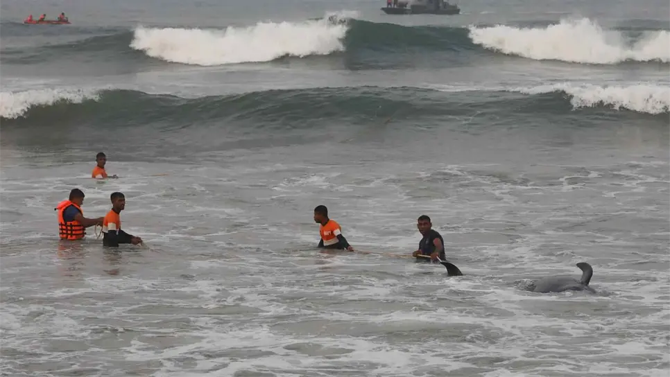 EFE/EPA/CHAMILA KARUNARATHNE