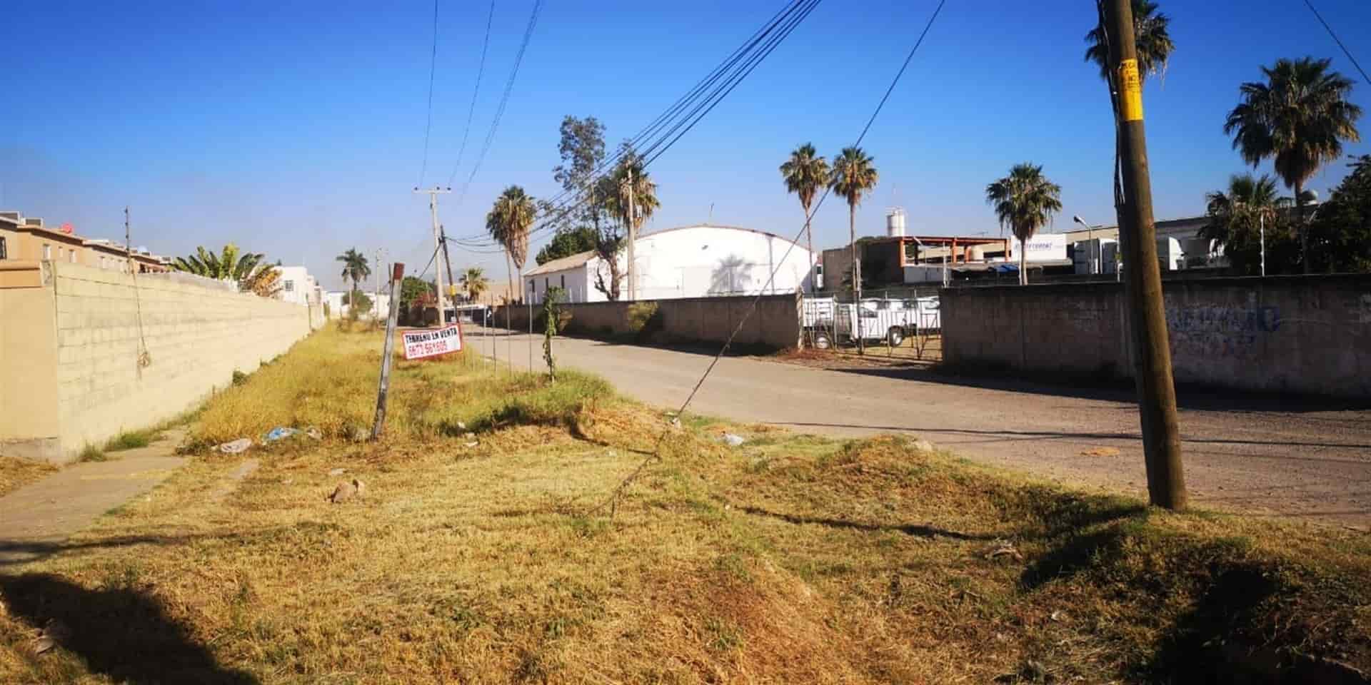 FOTOS: Manuel Aceves.