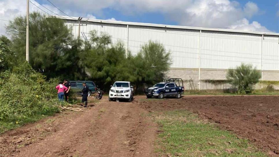 Rastreadoras por la paz localizan dos cuerpos en Los Mochis