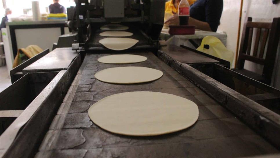 Desde ya, kilo de tortillas debe de costar $25 en todo Sinaloa: Rocha Moya