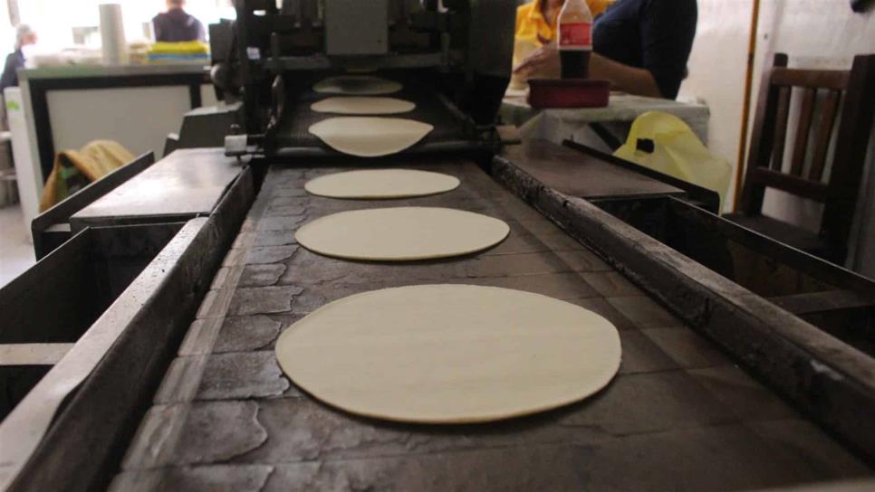 No habrá aumento en el precio del kilo de tortillas… en el 2020