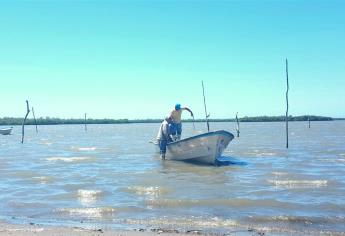 En una semana inicia el pago de Bienpesca en Sinaloa