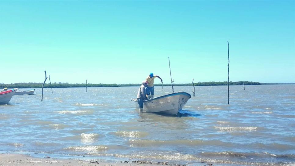 El Bien Pesca es un mejoralito para el sector: pescadores