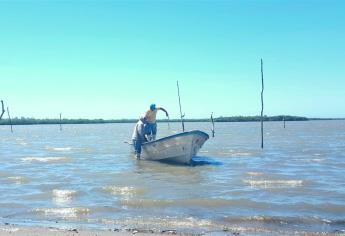 Dan de baja a pescadores «falsos» del Bienpesca; había hasta personal de limpieza