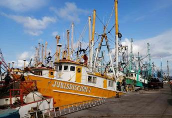 Pocas capturas y diésel caro, armadores amarrarán más barcos