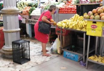 Comerciantes cumplen con cambio de bolsas de plástico por biodegradables