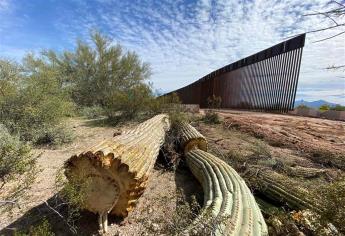 Constructoras aceleran obras del muro de Trump antes que Biden les ponga alto