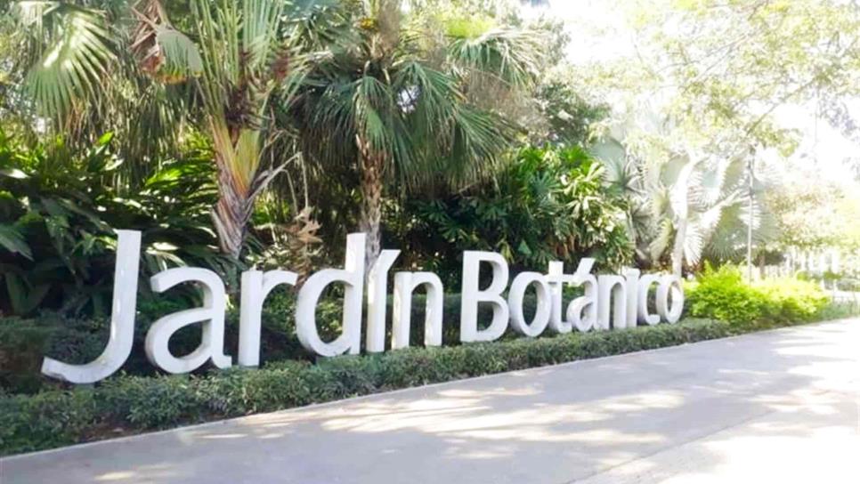 Jardín Botánico florece a pesar de la pandemia