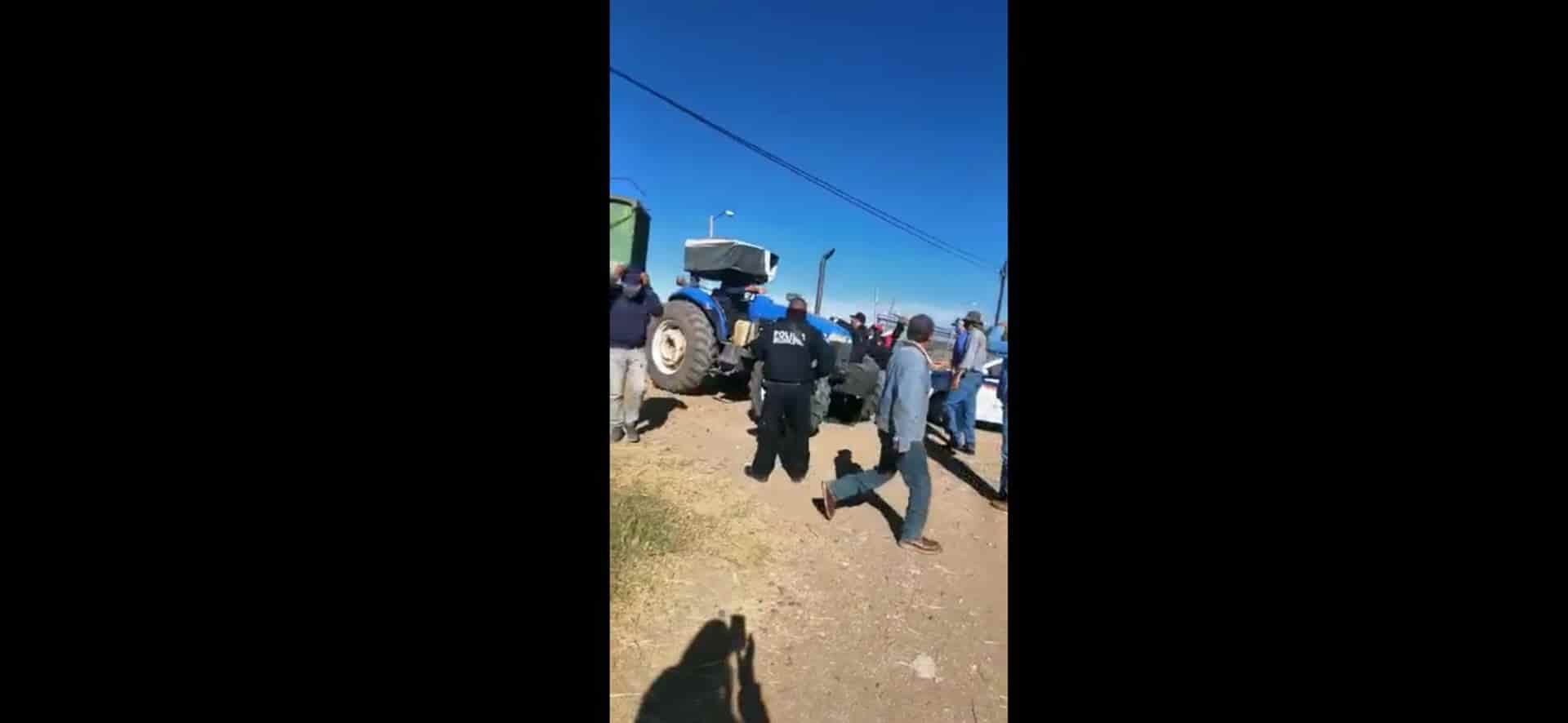 Productores sacan a la fuerza trigo de Multigranos