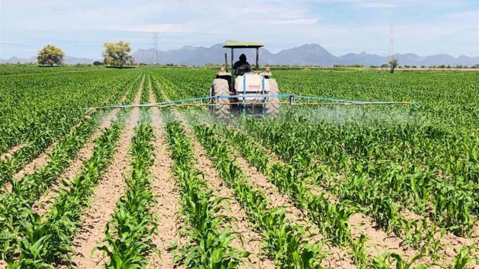 Fertilizantes son prioritarios para agricultura: Ramón Osuna
