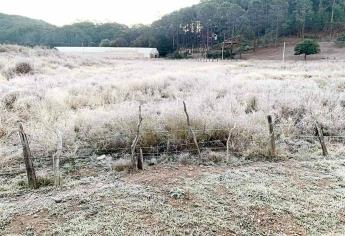 Surutato registra frío de hasta -3°C